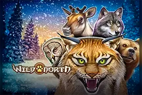 Wild North